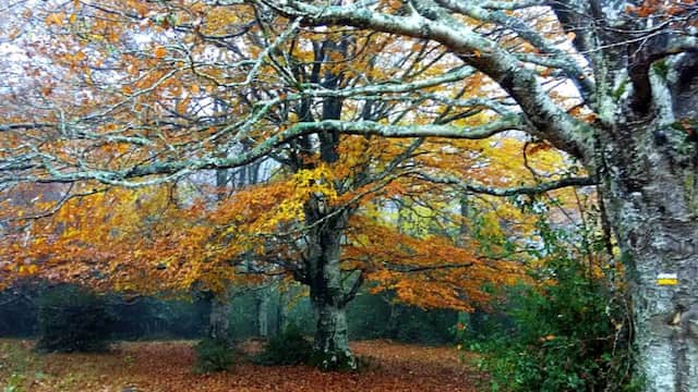 Otoño en las Merindades de Burgos - Imagen el Molino de Butrera