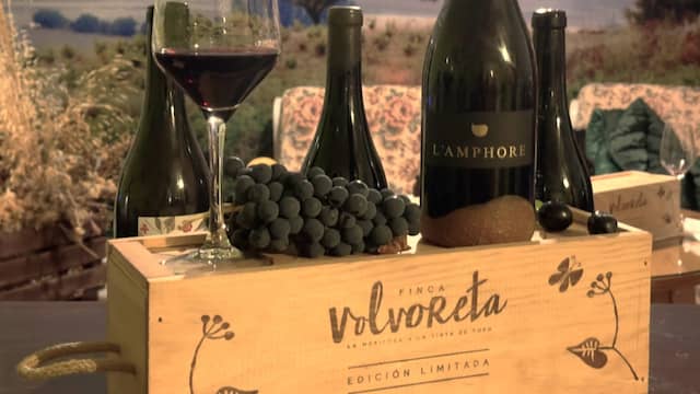 Vino de la bodega Finca Volvoreta