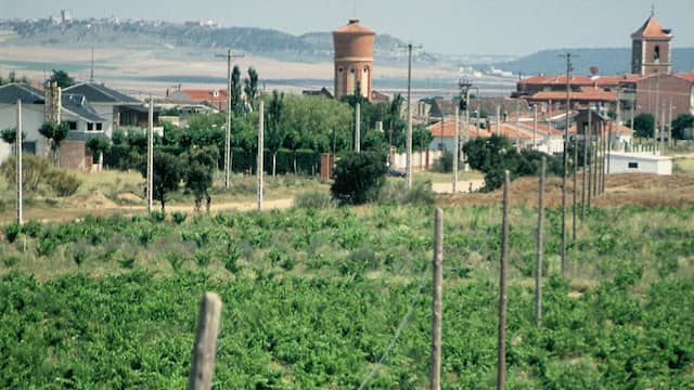 Viñedos de Boecillo - Imagen del Ayuntamiento de Boecillo