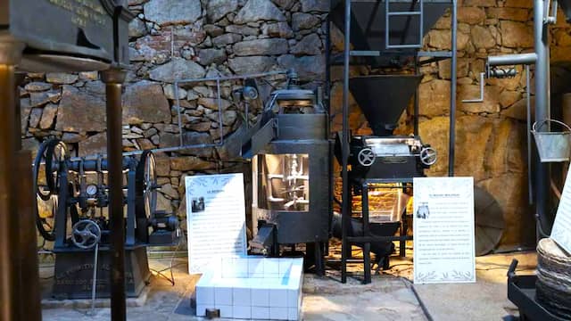 Museo del Aceite de Oliva de Fermoselle - Imagen del Museo