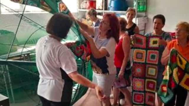 Árbol de Navidad de Fuenterrebollo