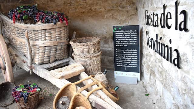 Musealización de la Catedral del vino de Cigales