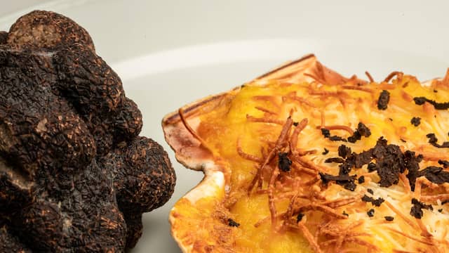 Vieira rellena trufada del Mesón Castellano de Soria