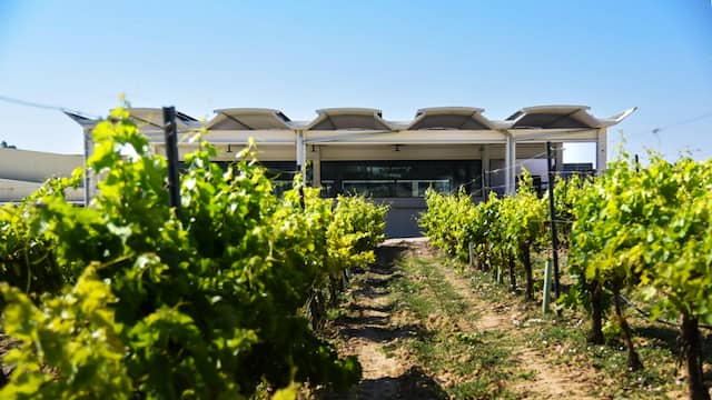 Bodegas Comenge - Imagen de la barrica