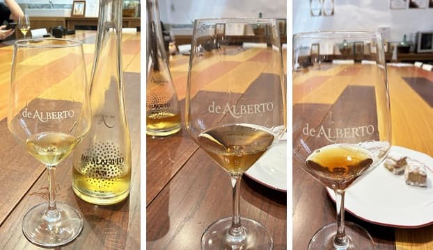 Cata de los vinos generosos de Bodegas de Alberto - Destino Castilla y León
