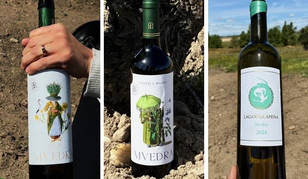 Catando directamente en el viñedo los vinos de Bodegas Muelas - Destino Castilla y León