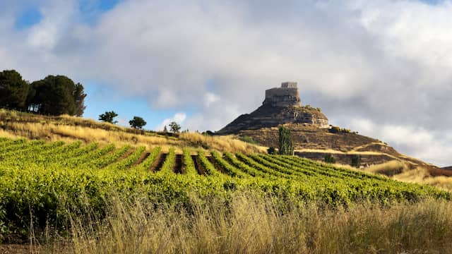 Curiel del Duero desde Bodegas Comenge - imagen de la bodega Guardianes del Viñedo
