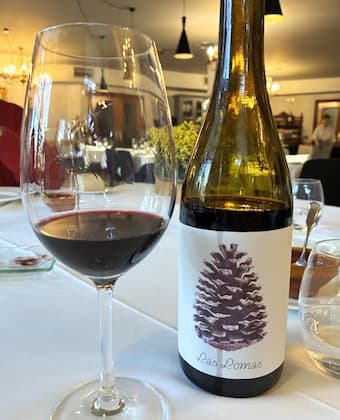 Disfrutando del vino tinto joven las Lomas en el Restaurante del Hotel San Francisco - Destino Castilla y León