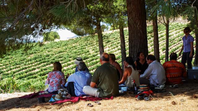 Enoturismo en familia - Imagen de Bodegas Comenge