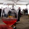 Fiesta de la primavera 2026 en Santovenia de Pisuerga - Imagen de la Ruta del Vino de Cigales