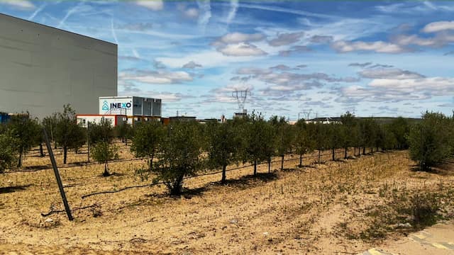 Jardín de especies de olivos junto a la almazara - Destino Castilla y León La zonificación, un recurso más de la Ruta del Vino de Rueda
