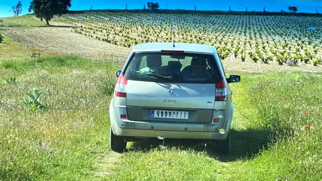 Llegando a la finca la Almendrera - Destino Castilla y León La zonificación, un recurso más de la Ruta del Vino de Rueda