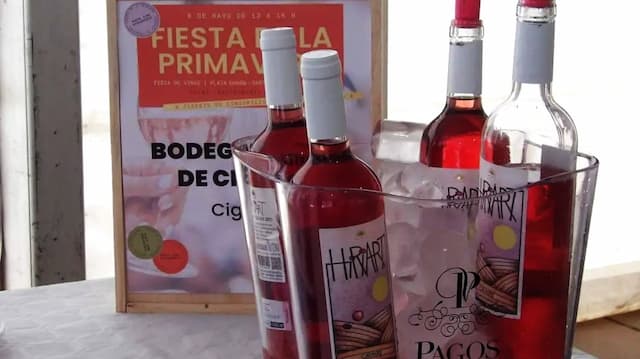 Vinos de la Feria del vino de Santovenia de Pisuerga - Imagen de la Ruta del Vino de Cigales
