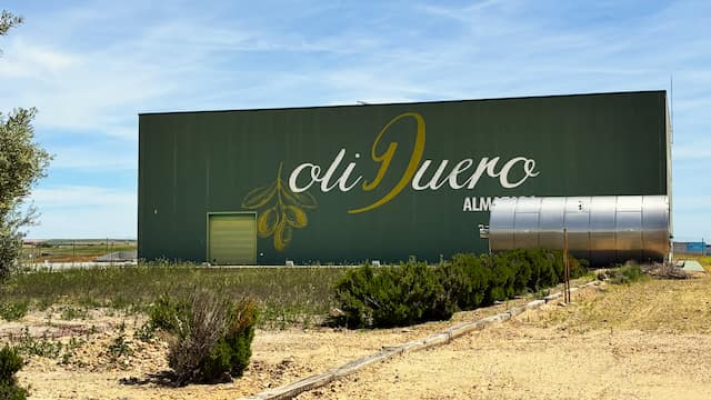 Visita a la Almazara ecológica OliDuero del grupo Matarromera en Medina del Campo - Destino Castilla y León