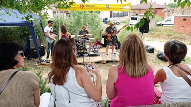 Actuación musical en la VII Feria del Vino de Sotillo - Imagen del Ayto. de Sotillo