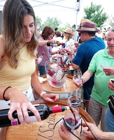 Degustaciones de vinos en la Feria del Vino de Sotillo - Imagen del Ayto. de Sotillo