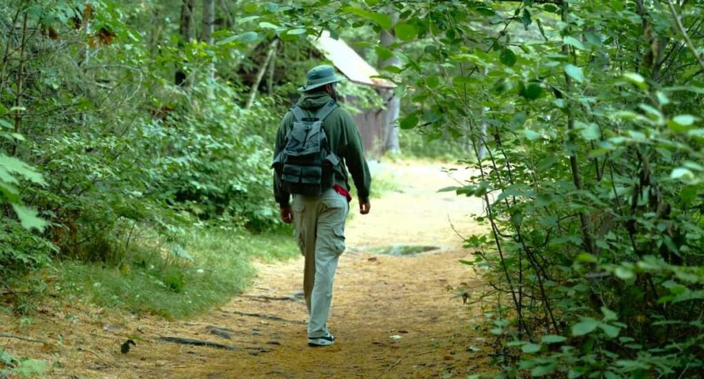 Camino de Santiago que mejor se ajusta a ti