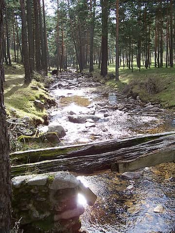 Rio Moros - Imagen cc Wikipedia