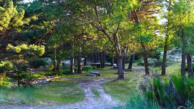 Senderismo por los bosques de El Espinar - Imagen de Segovia tiene un buen plan