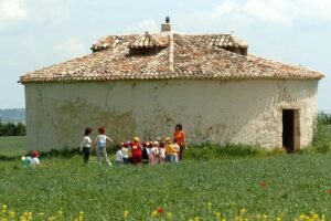 Los palomares de Castilla y León