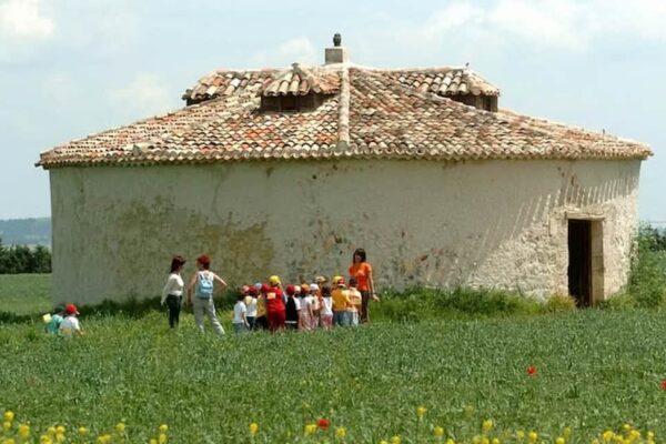 Los palomares de Castilla y León