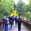 Paseo realizado este verano por el Camino Natural ‘Tras las huellas del oso’ - Imagen de Turismo de Laciana