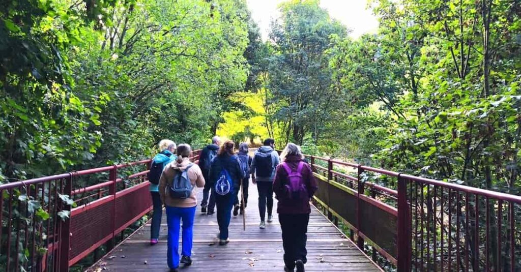 Paseo realizado este verano por el Camino Natural ‘Tras las huellas del oso’ - Imagen de Turismo de Laciana