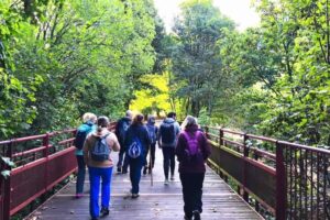 Paseo realizado este verano por el Camino Natural ‘Tras las huellas del oso’ - Imagen de Turismo de Laciana